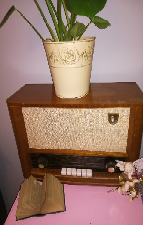 vanha radio, jonka päällä on huonekasvi