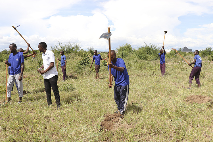 Tanzanian youths digging holes with long-handled shovels.