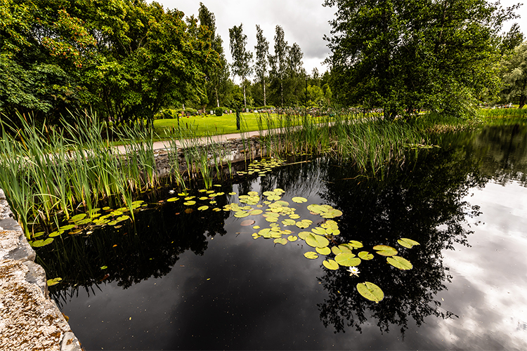 Kuvassa lampi puiston keskellä