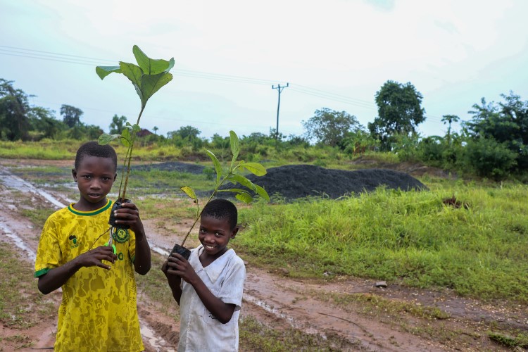 Two Tanzanian children smile holding tree saplings. The landscape is green after rain.