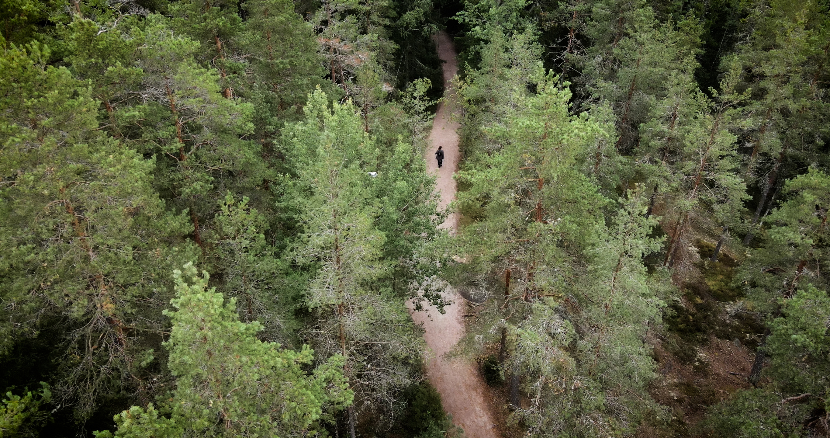 Ylhäältä kuvattu metsäpolku, jolla kävelee yksi henkilö.