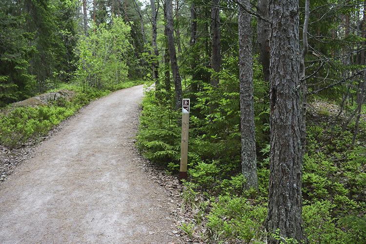Luontopyhiinvaellus Haltiasta Velskolaan Suomen luonnon päivänä Luontopyhiinvaellus Haltiasta Velskolaan Suomen luonnon päivänä