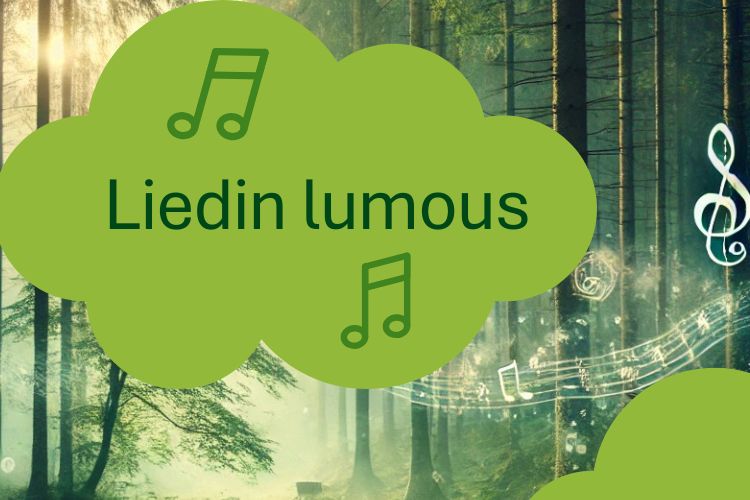 Liedin lumous