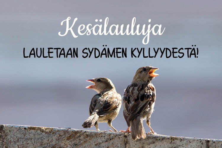 Kaksi pikkulintua laulaa sydämensä kyllyydestä! Kuvassa lukee: 