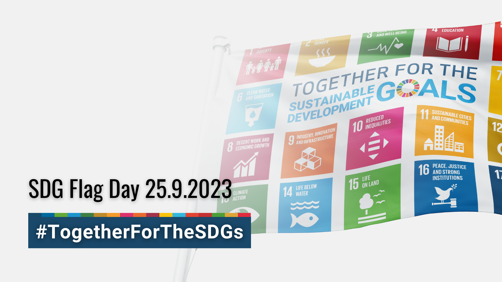 Kuvan taustalla on kestävän kehityksen (SDG) lippu sekä lippupäivän päivämäärä. 