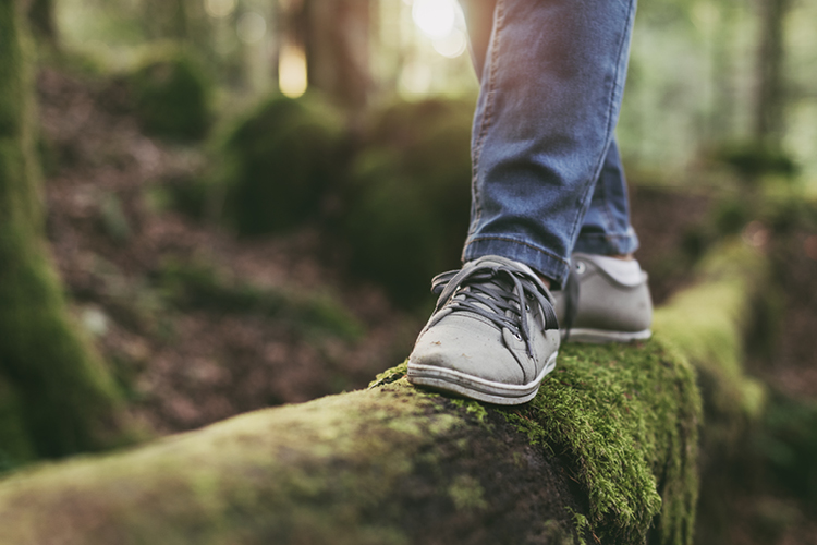 Kuvassa metsä ja kaatuneella, sammaloituneella puunrungolla tasapainoilevat jalat farkuissa ja tennareissa.