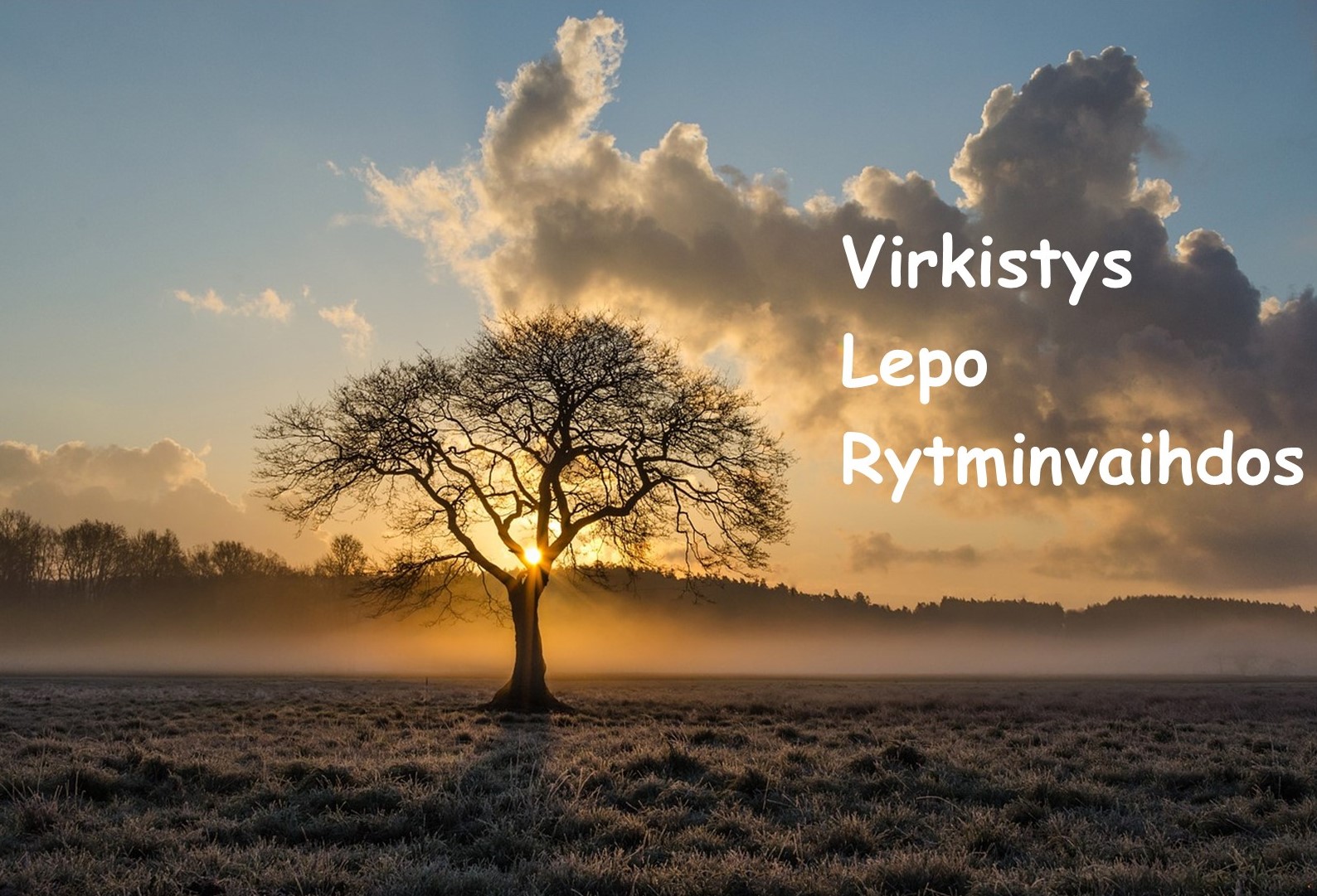 Syksyisen puun takaa näkyy nouseva aurinko, taivaalla iso pilvi.