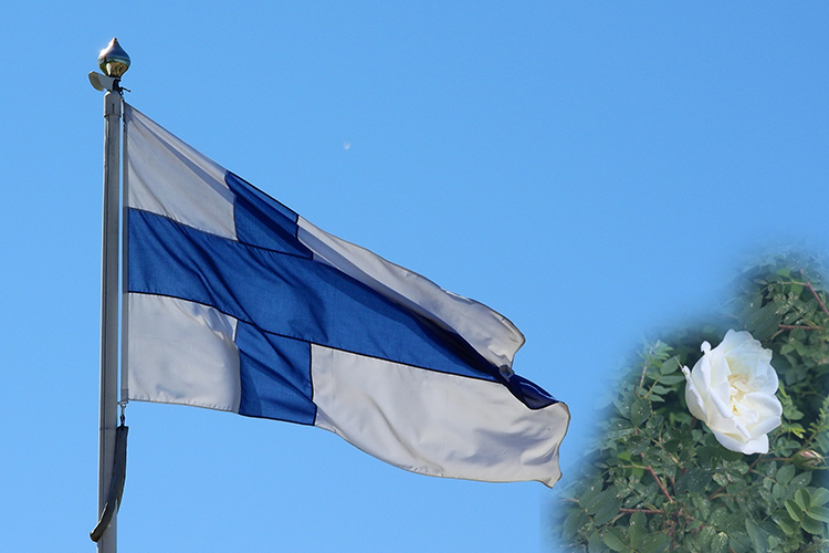 Juhannusjuhla Juhannusjuhla