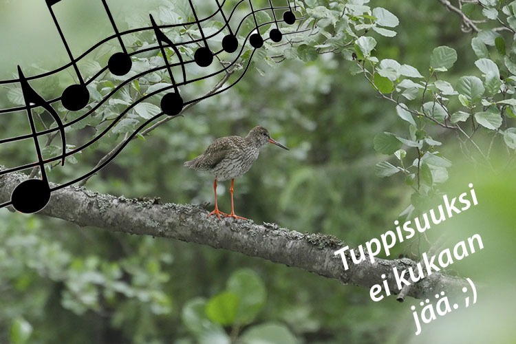 Kesäpäivän yhteislaulut Kesäpäivän yhteislaulut