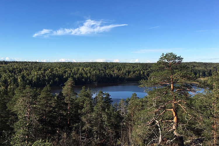 Nuuksion pieni luontopyhiinvaellus Näkymä Nuuksion ylängöltä kohti järveä, ympärillä metsää, ylhäällä sininen taivas