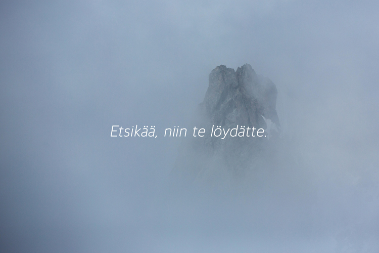 Näyttely Näyttely