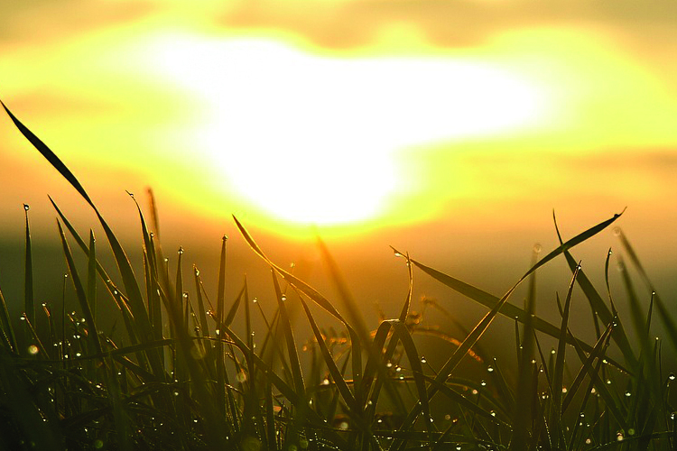 Sunrise mass Sunrise mass
