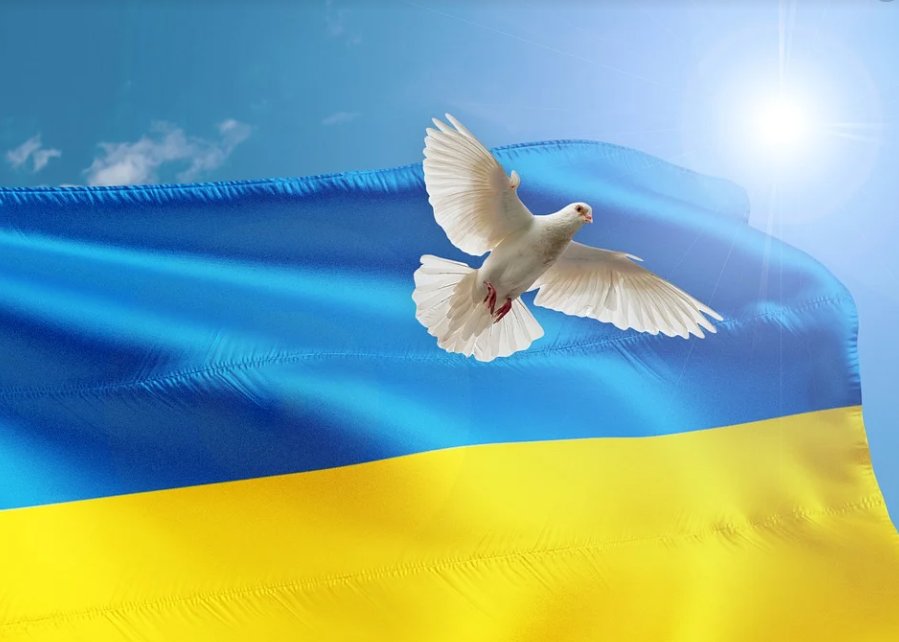 Ukrainan lipun edessä lentää valkoinen rauhankyyhkynen
