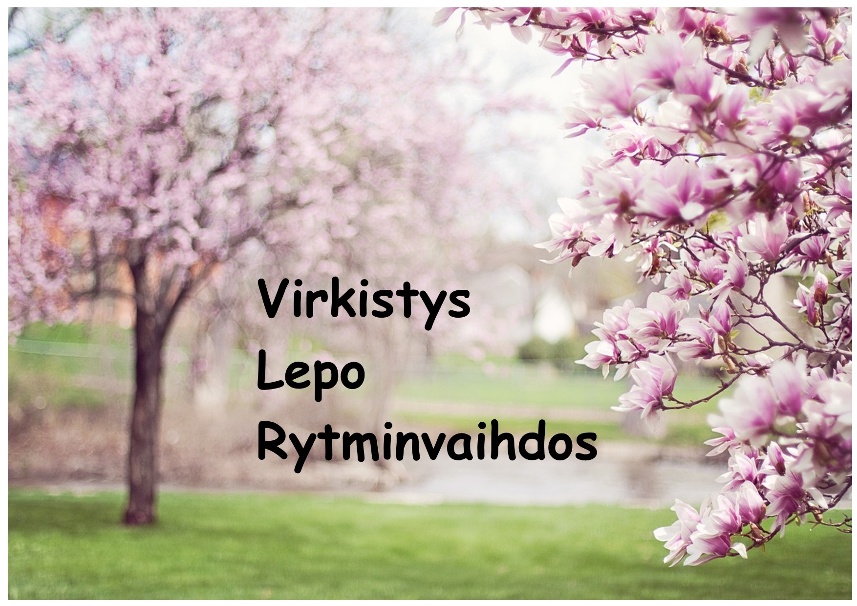 Arjen irtiotto -retriitti Hvittorpissa Kukkivat magnoliapuut.