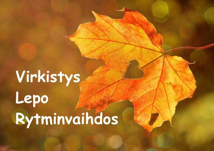 Arjen irtiotto -retriitti Hvittorpissa Syksyn keltainen lehti, jossa sydänkuvio.