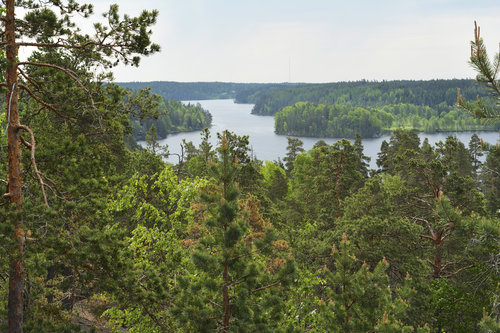 Järvimaisema pyhiinvaelluspolulta