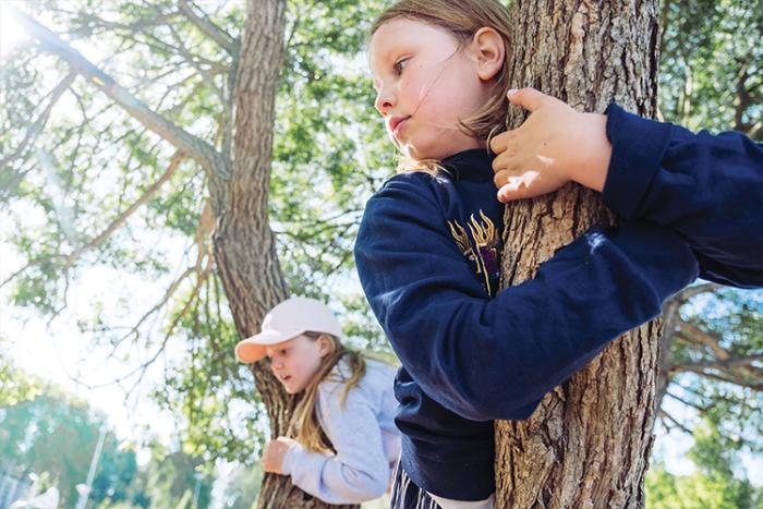 lapset kiipeävät puuhun