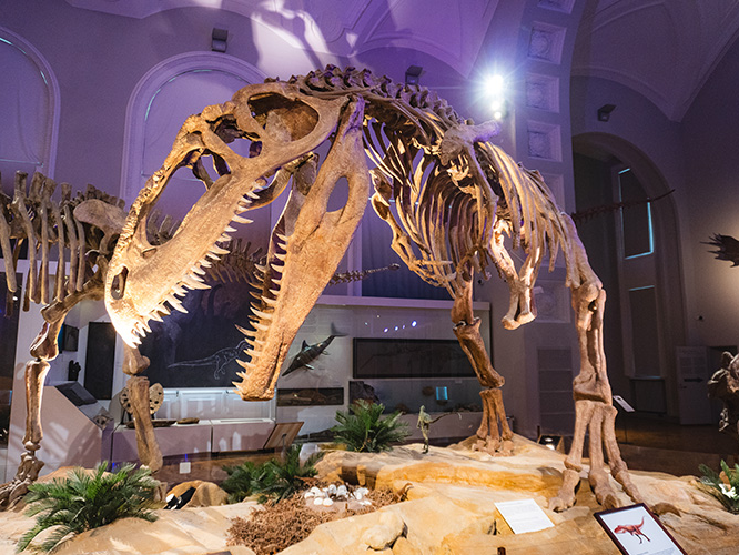 Treffaa dinosaurus Luonnontieteellisessä
