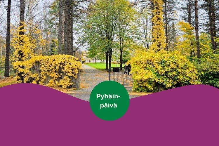 Pyhäinpäivä Kellonummen hautausmaalla